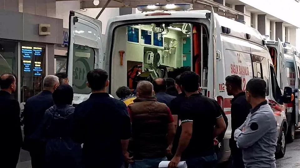 Batman'da Yıldırım Çarpan Çoban Hayatını Kaybetti