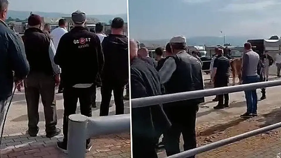 Bursa'da Kurban Pazarında Kavga: Jandarma Havaya Ateş Açtı
