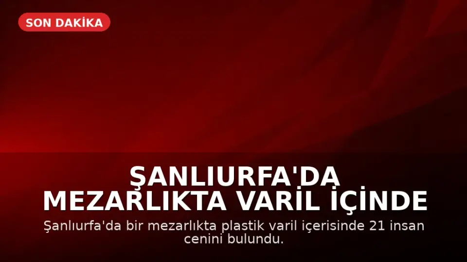 Şanlıurfa'da Mezarlıkta Varil İçinde 21 İnsan Cenini Bulundu