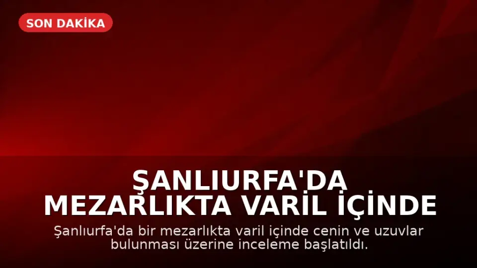 Şanlıurfa'da Mezarlıkta Varil İçinde Cenin ve Uzuvlar Bulundu