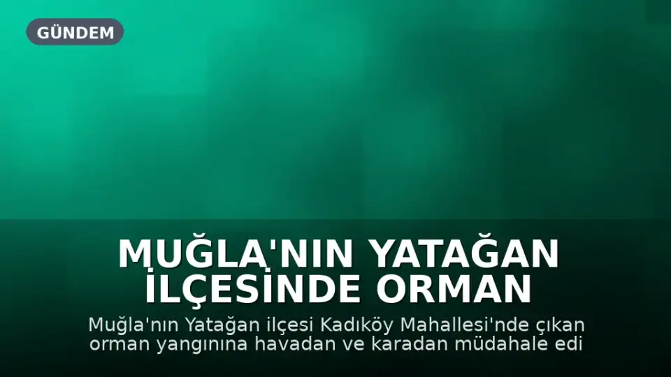 Muğla'nın Yatağan İlçesinde Orman Yangını: Havadan ve Karadan Müdahale Devam Ediyor