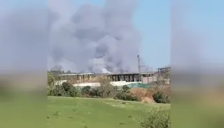 Beykoz'da Orman Yangını: Müdahale Sürüyor