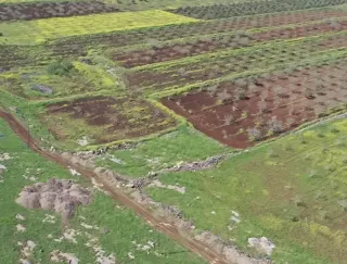 Japon ve Çinli Arkeologlar Taş Tepeler Projesi'ne Katılıyor
