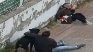 Ümraniye'de Ağızlıksız Rottweiler Küçük Köpeğe Saldırdı