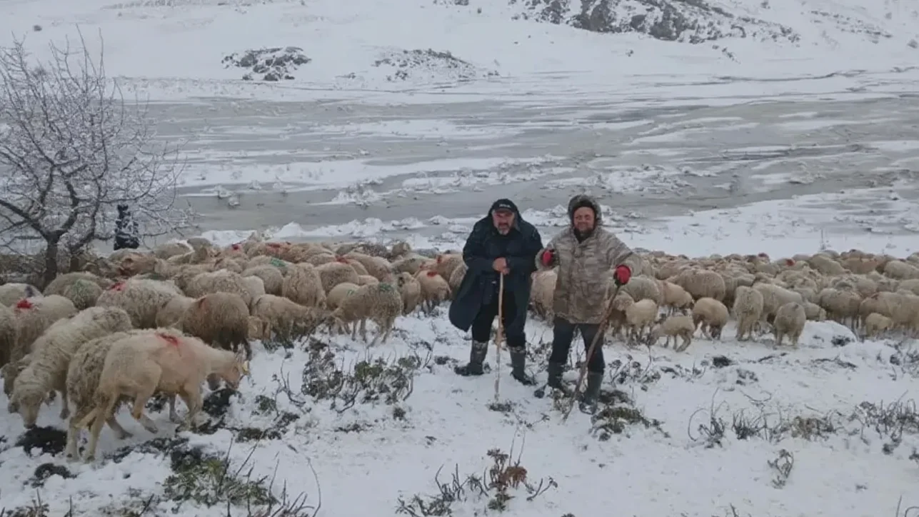 Tipi ve Heyelan Nedeniyle 2 Çoban ve Yaklaşık 650 Küçükbaş Hayvan Yaylada Mahsur Kaldı
