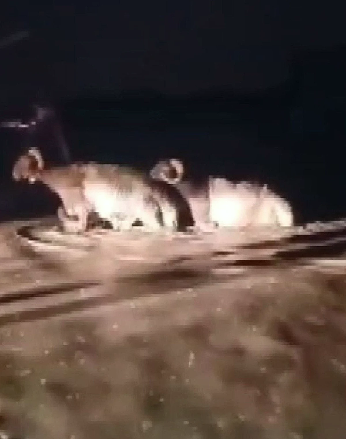 Hatay'da Sağanak Afet Gibiydi: Hayvan Pazarı Sular Altında Kaldı