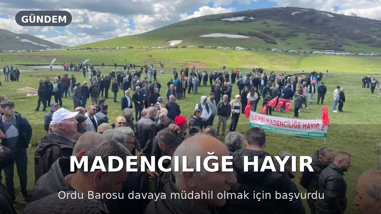 Ordu Barosu'ndan Perşembe Yaylası Davasına Müdahil Olma Talebi