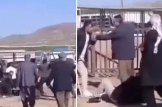 Van Hayvan Pazarı'nda Kanlı Kavga: 1 Ölü, 13 Yaralı