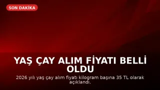 Yaş Çay Alım Fiyatı Belli Oldu